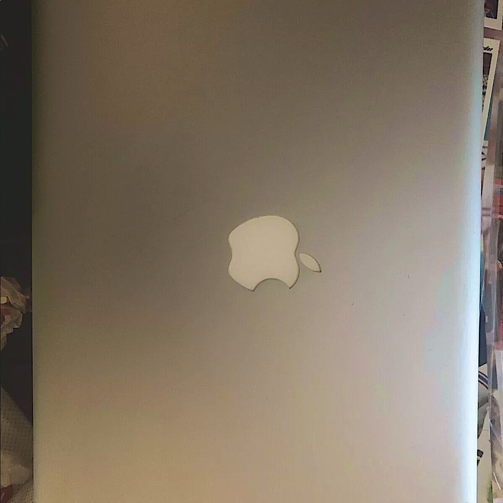 2013 Mac book pro 13.3in screen.